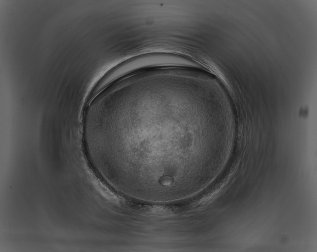 X0000091710787200708241246