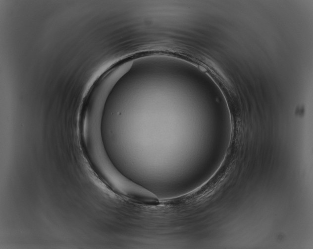 X0000091710788200708241246