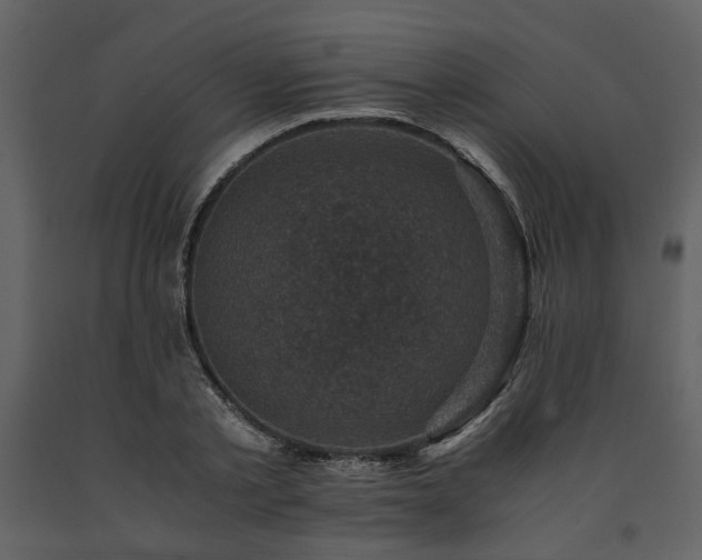 X0000091710789200708241246