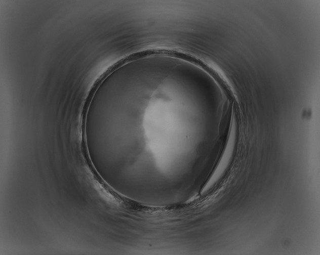 X0000091710791200708241246