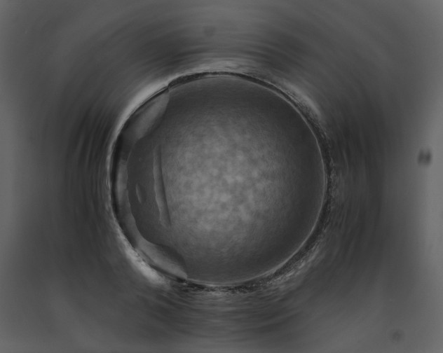 X0000091710792200708241245
