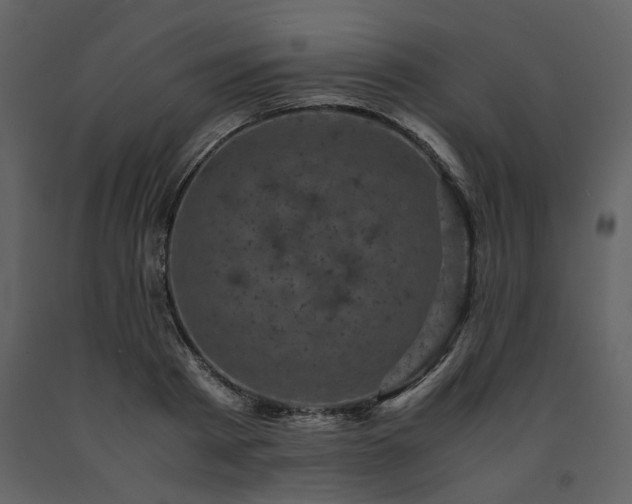 X0000091710793200708241245