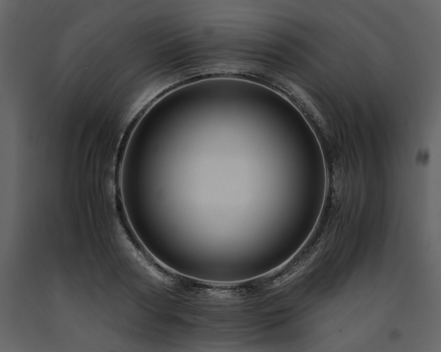 X0000091710794200708241245