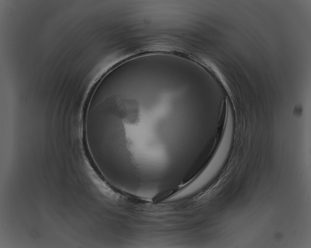 X0000091710795200708241245