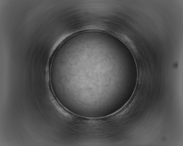 X0000091710796200708241245