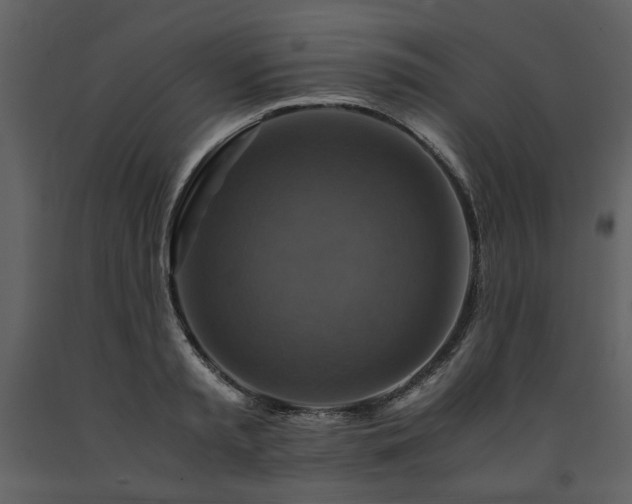 X0000091710797200708241245