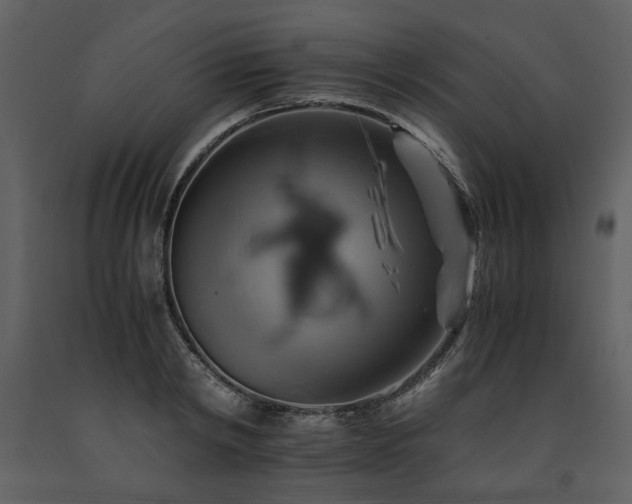 X0000091710798200708241245