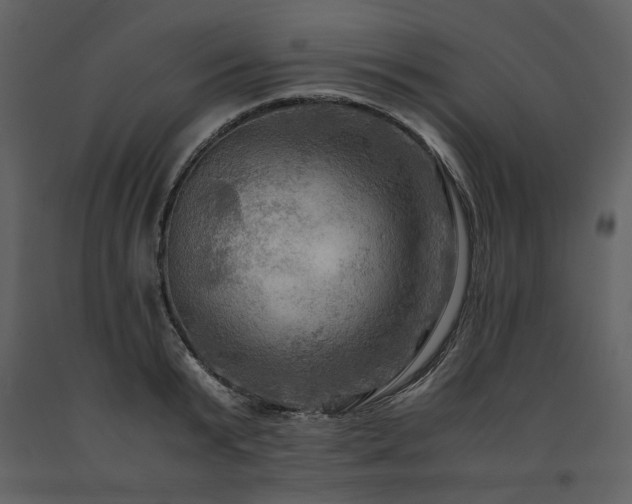 X0000091710799200708241245