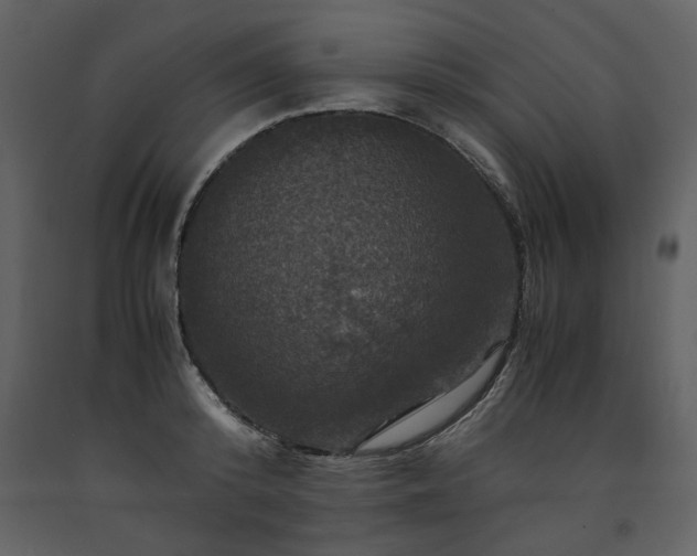 X0000091710800200708241245