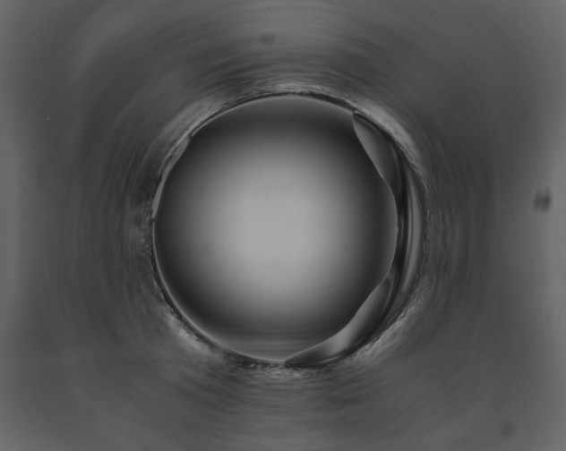 X0000091710801200708241245
