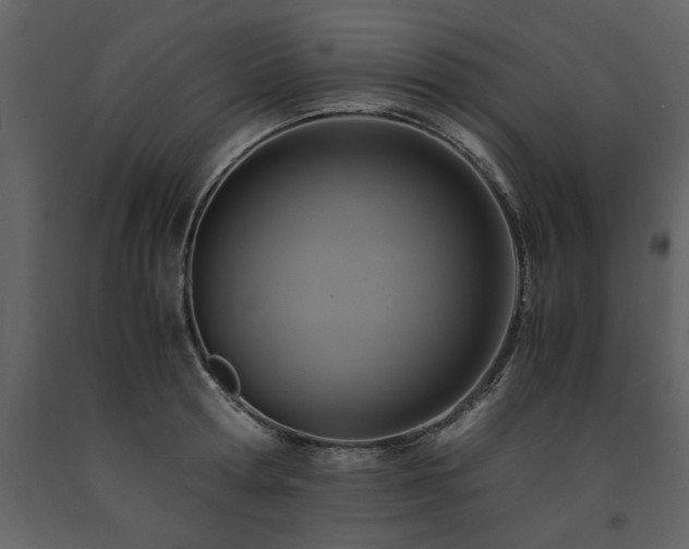 X0000091710802200708241245
