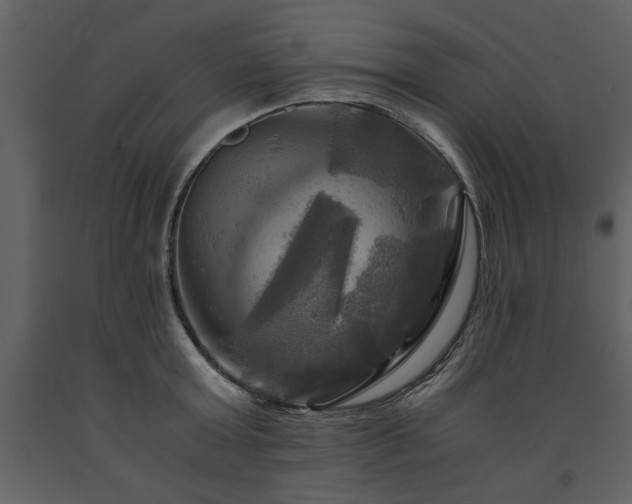 X0000091710803200708241245