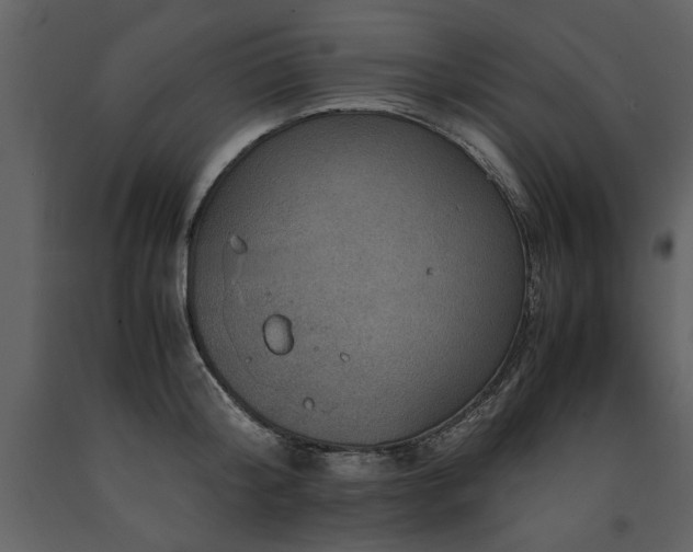 X0000091710804200708241245