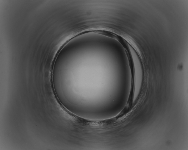 X0000091710805200708241245