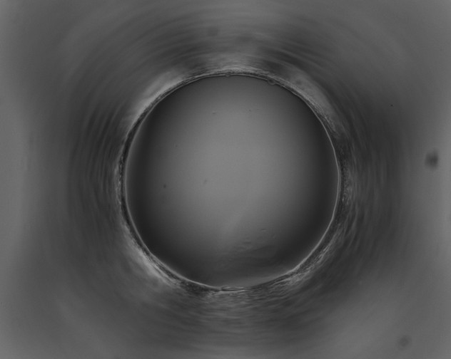 X0000091710806200708241245