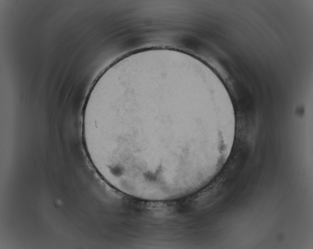 X0000091710807200708241245