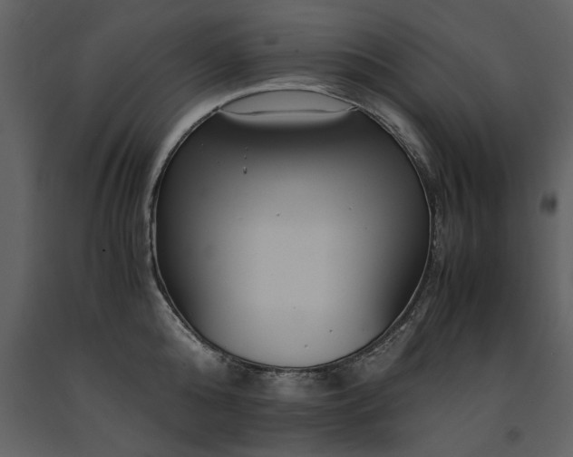 X0000091710808200708241245