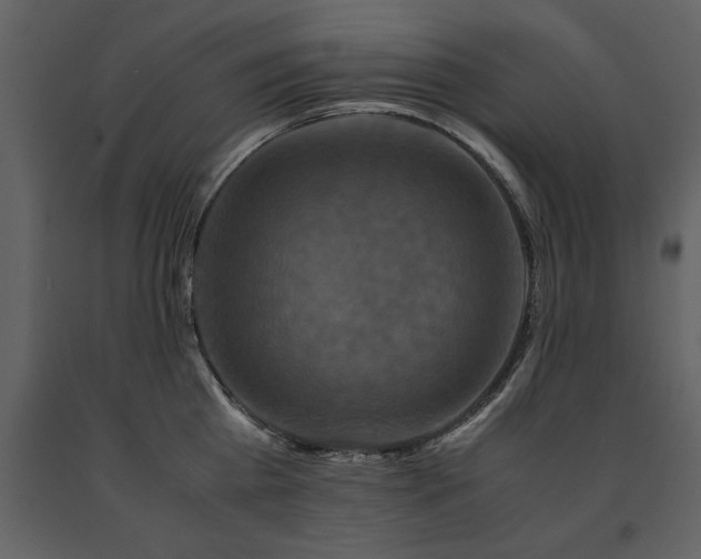 X0000091710809200708241245