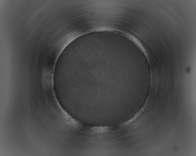 X0000091710810200708241245