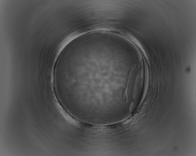 X0000091710811200708241245