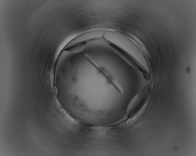 X0000091710812200708241245