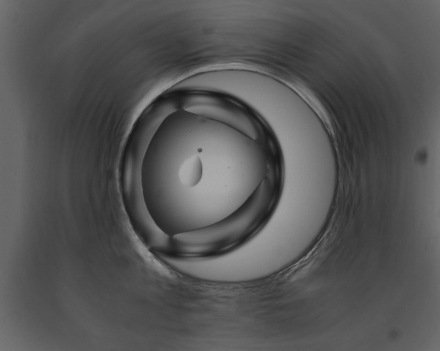 X0000091710813200708241245