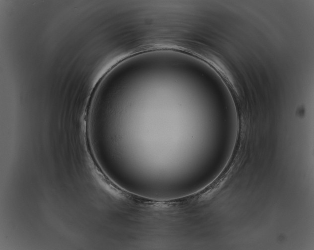 X0000091710814200708241245