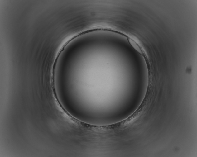 X0000091710815200708241245