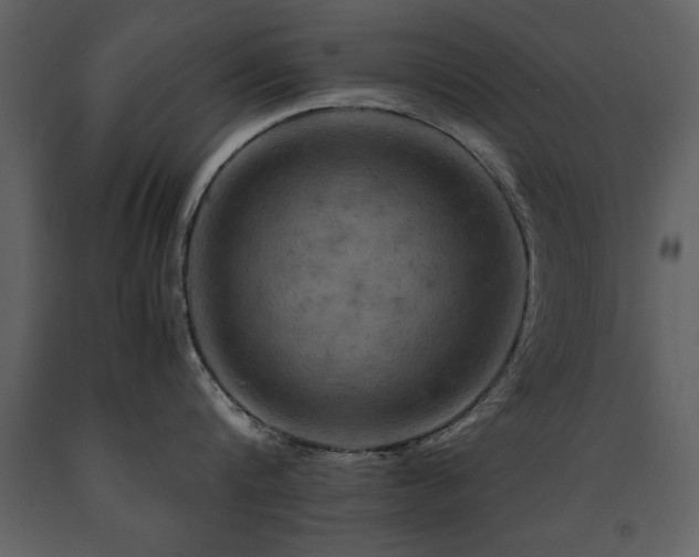 X0000091710816200708241245