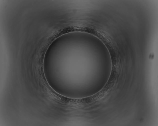 X0000091710817200708241244