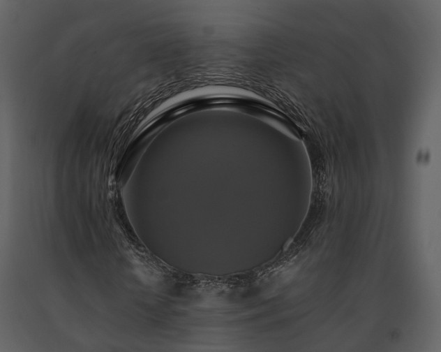 X0000091710818200708241244