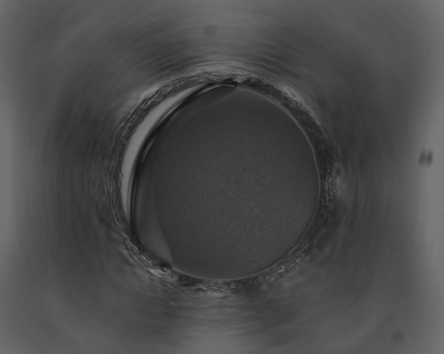 X0000091710822200708241244