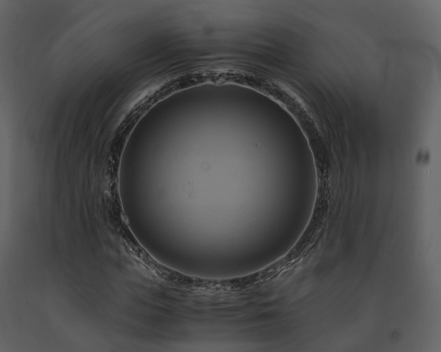 X0000091710823200708241244