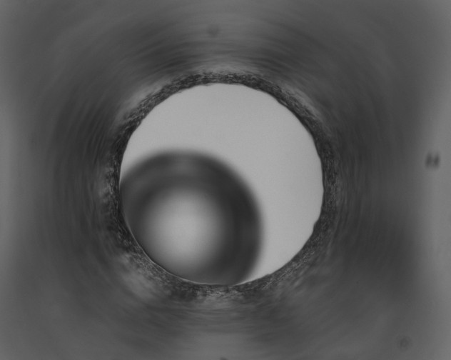 X0000091710824200708241244