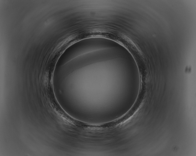 X0000091710825200708241244