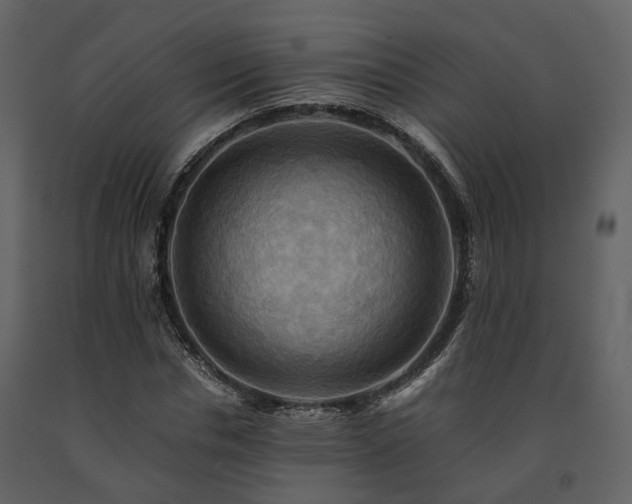 X0000091710826200708241244