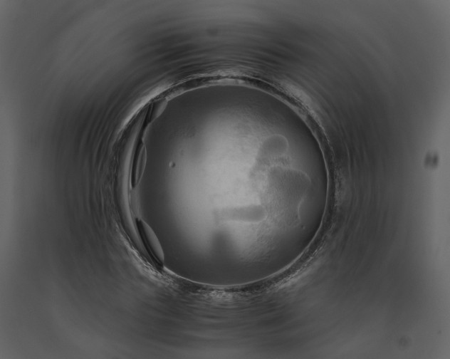 X0000091710827200708241244