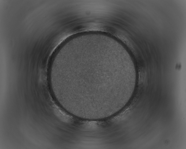 X0000091710828200708241244