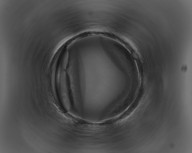 X0000091710829200708241244