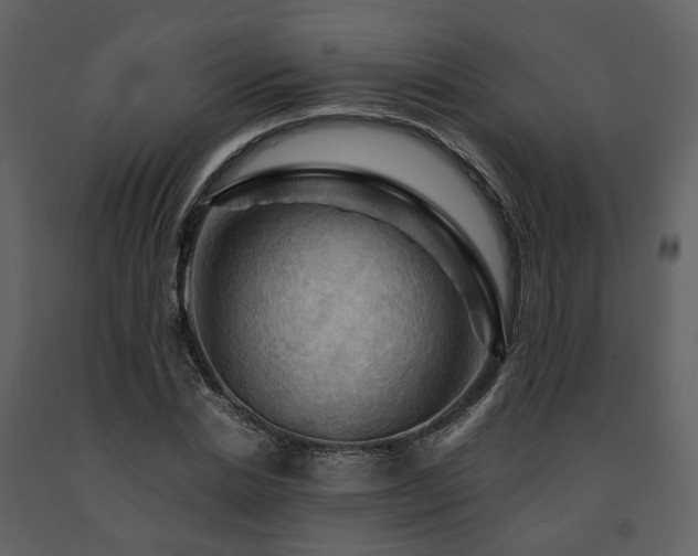 X0000091710830200708241245