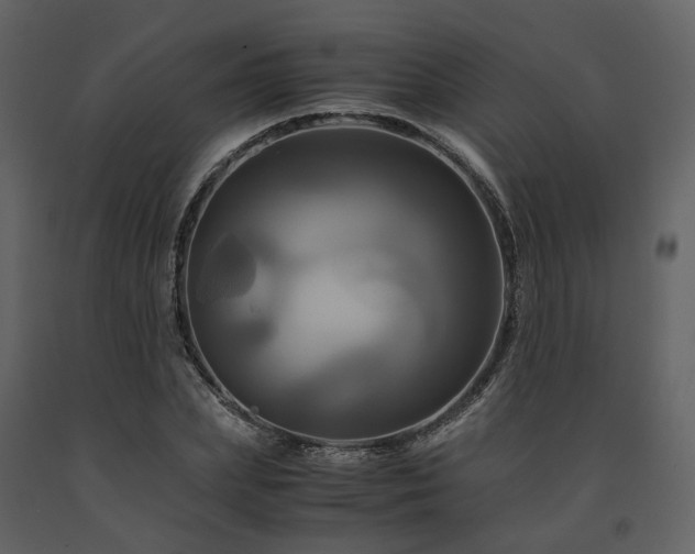 X0000091710831200708241245