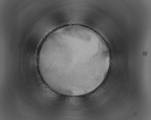 X0000091710832200708241245