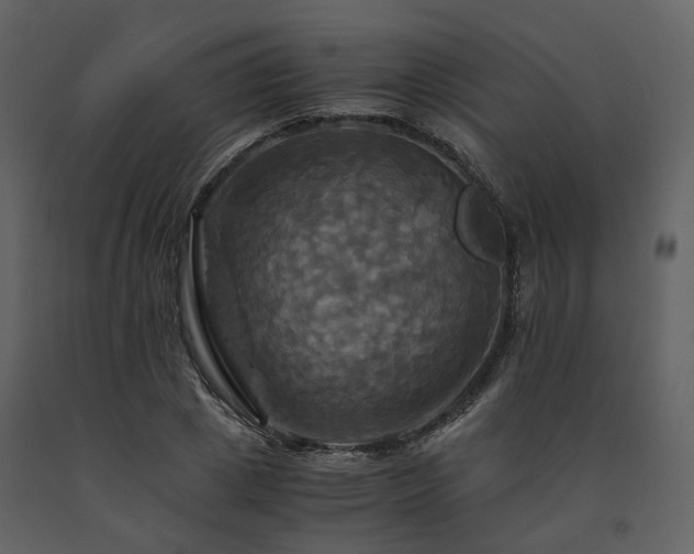 X0000091710833200708241245
