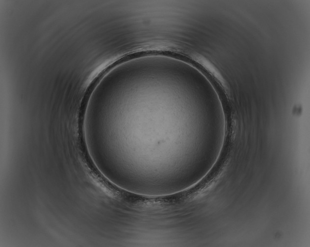 X0000091710834200708241245
