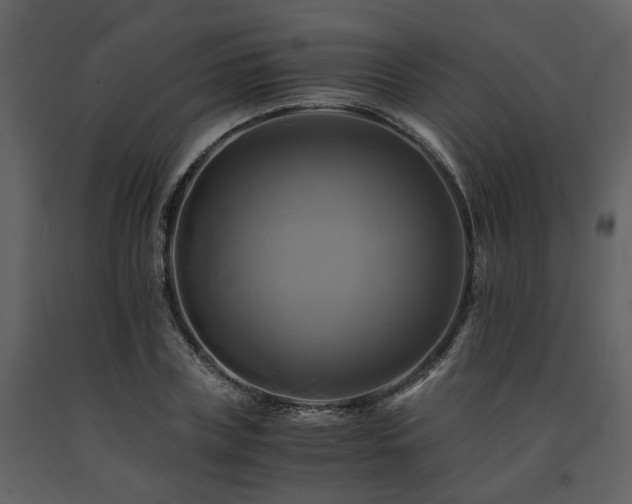 X0000091710835200708241245