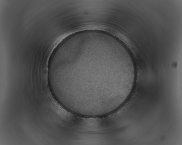 X0000091710836200708241245
