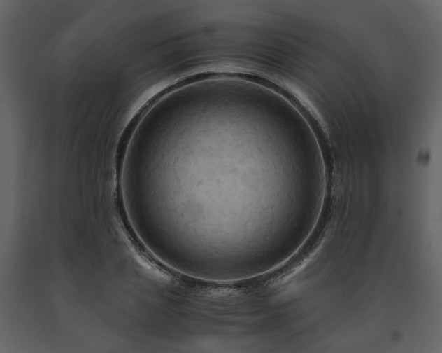 X0000091710837200708241245