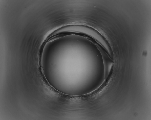 X0000091710838200708241245
