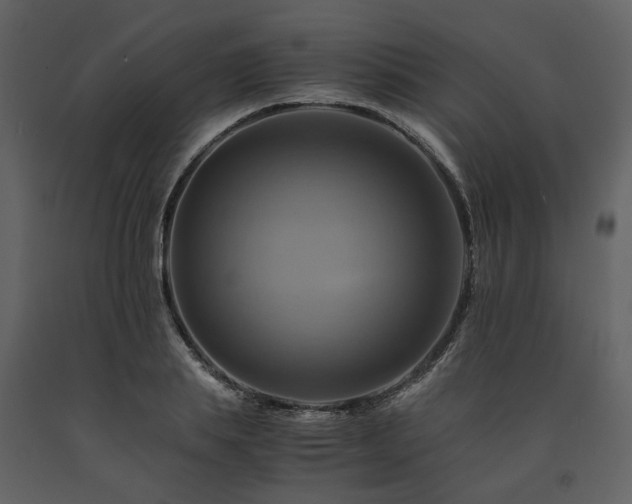 X0000091710839200708241245