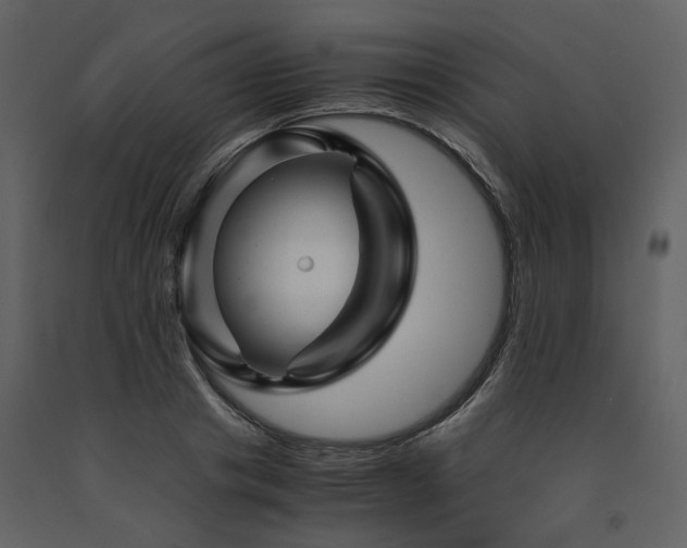 X0000091710841200708241245